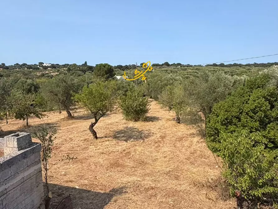 Immagine 20 di Baita in vendita  in Contrada Centrone Piccolo a Castellana Grotte