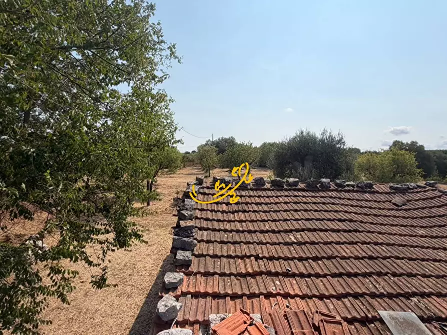 Immagine 16 di Baita in vendita  in Contrada Centrone Piccolo a Castellana Grotte
