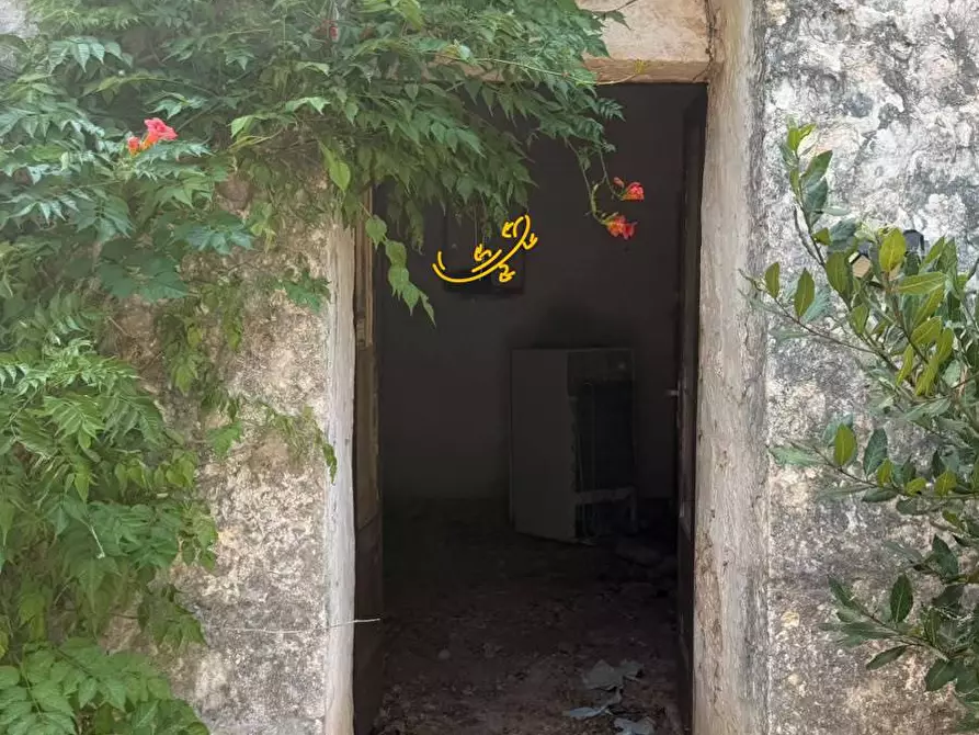 Immagine 23 di Baita in vendita  in Contrada Centrone Piccolo a Castellana Grotte