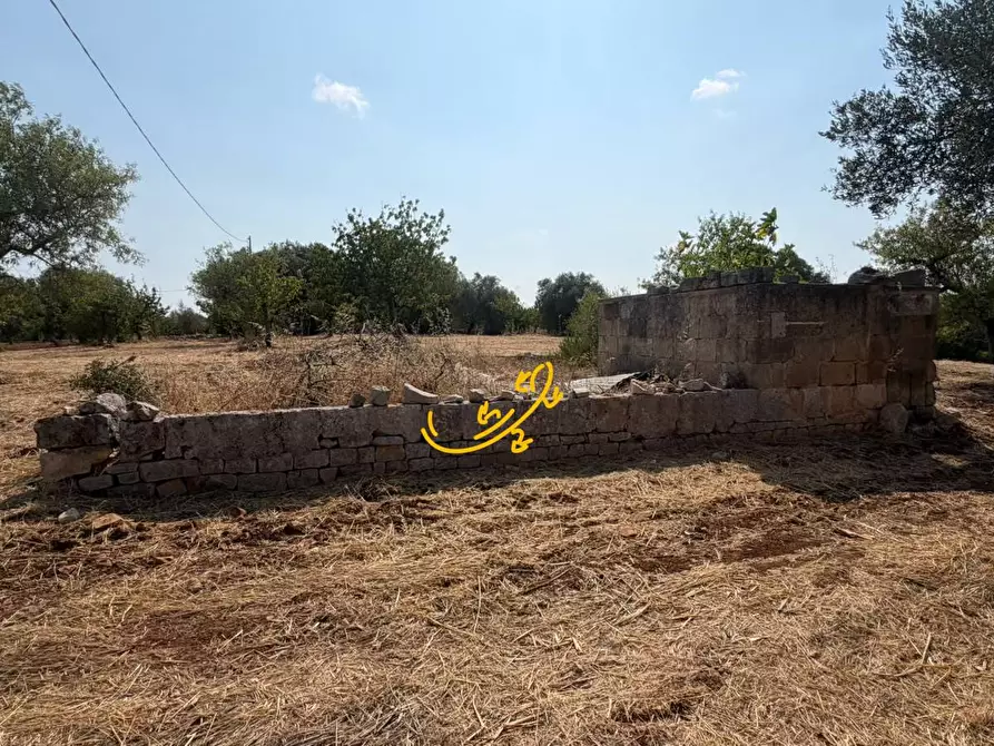 Immagine 25 di Baita in vendita  in Contrada Centrone Piccolo a Castellana Grotte