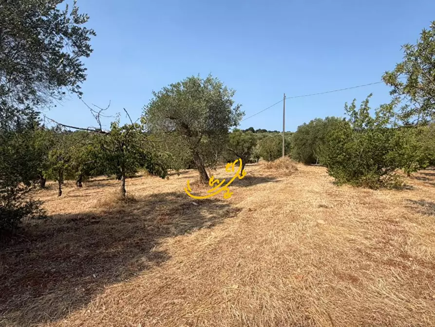 Immagine 17 di Baita in vendita  in Contrada Centrone Piccolo a Castellana Grotte