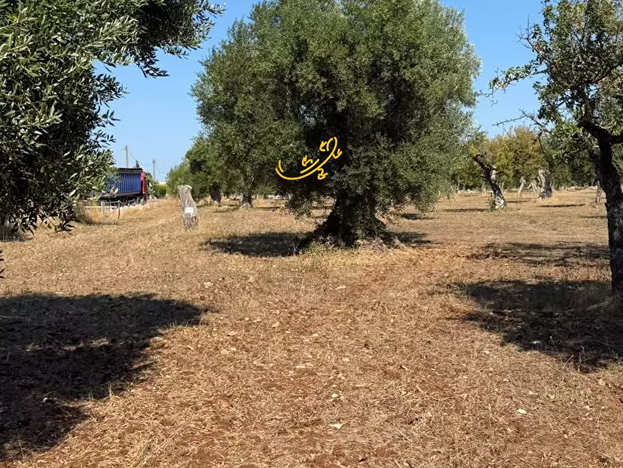 Immagine 12 di Rustico / casale in vendita  in Traversa Tratturo Fanelli a Castellana Grotte