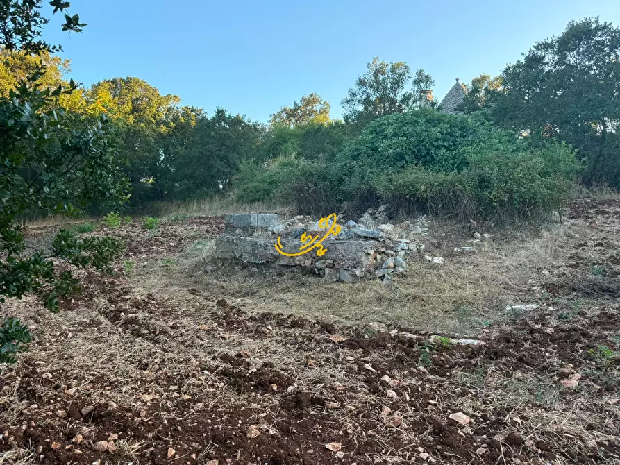 Immagine 19 di Baita in vendita  in Strada Pentimi Vertrana a Martina Franca