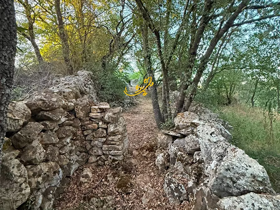 Immagine 24 di Baita in vendita  in Strada Pentimi Vertrana a Martina Franca