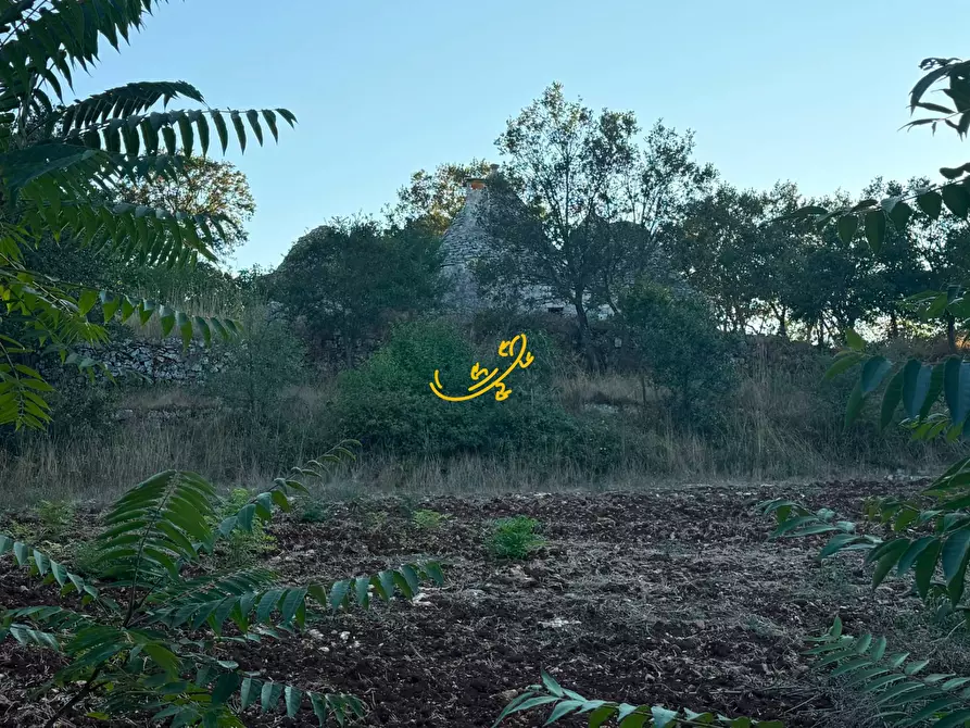 Immagine 27 di Baita in vendita  in Strada Pentimi Vertrana a Martina Franca