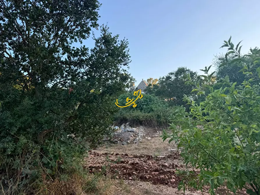 Immagine 29 di Baita in vendita  in Strada Pentimi Vertrana a Martina Franca