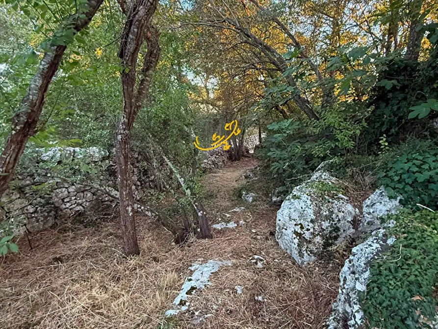 Immagine 30 di Baita in vendita  in Strada Pentimi Vertrana a Martina Franca