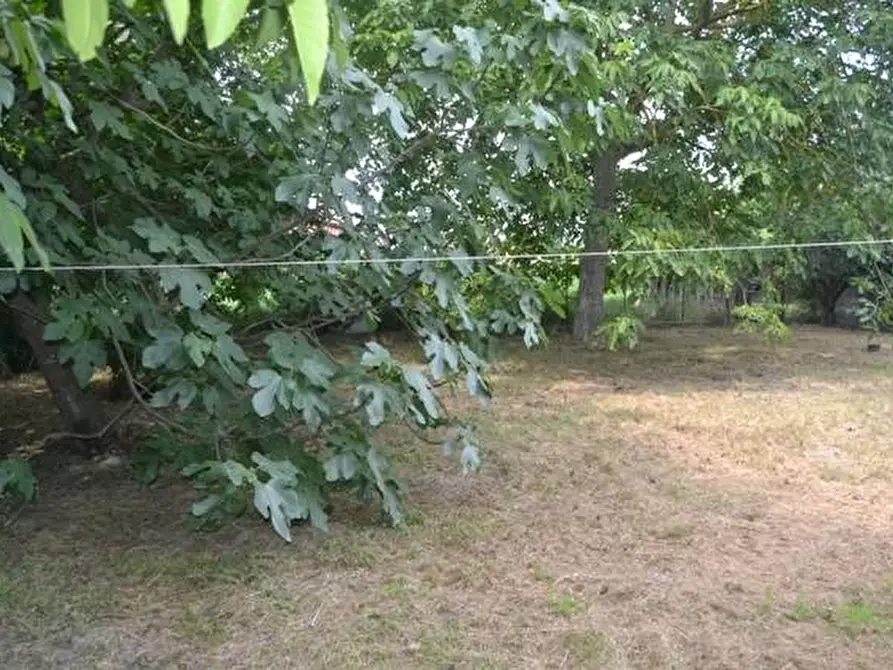 Immagine 45 di Villetta a schiera in vendita  in via confine inferiore 125 a Molinella