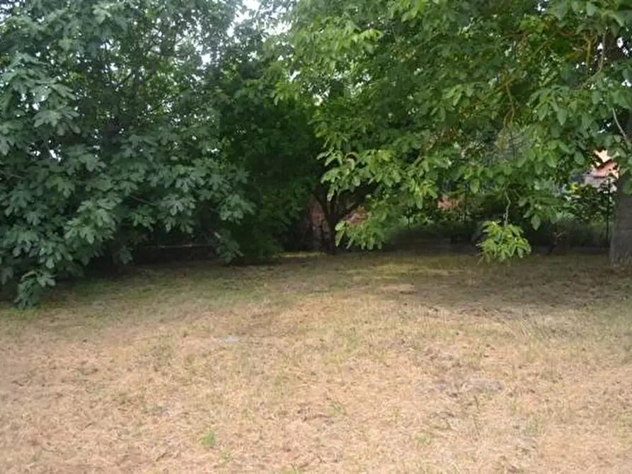 Immagine 47 di Villetta a schiera in vendita  in via confine inferiore 125 a Molinella