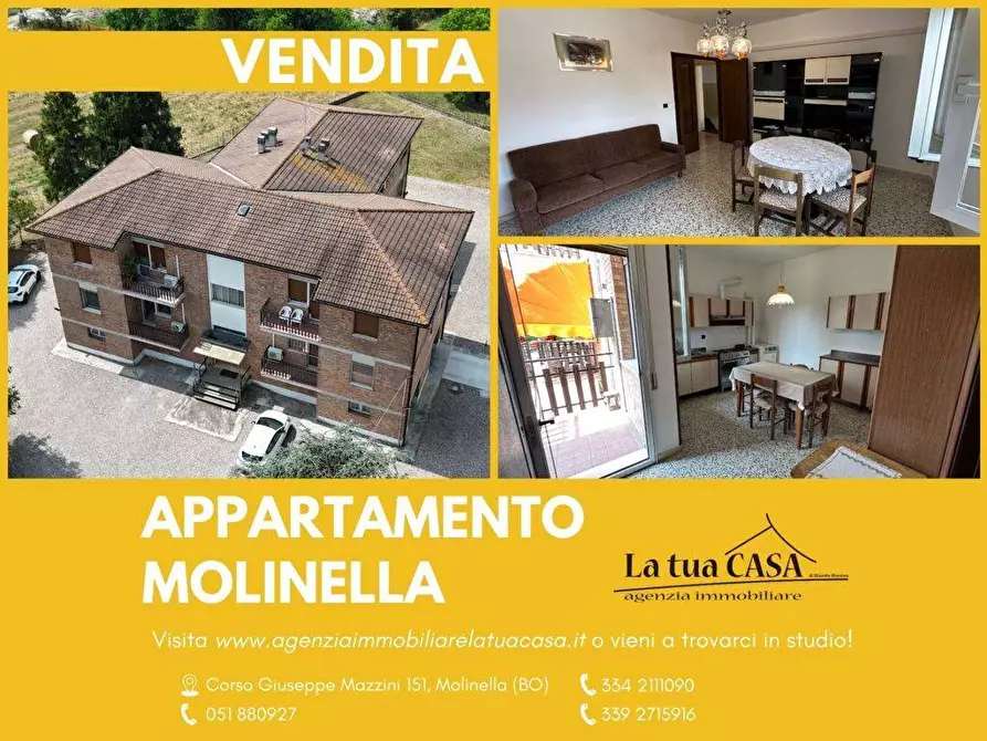 Immagine 3 di Appartamento in vendita  a Molinella