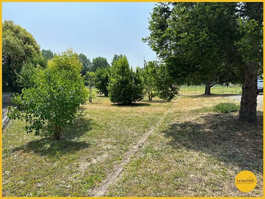 Immagine 50 di Appartamento in vendita  a Molinella