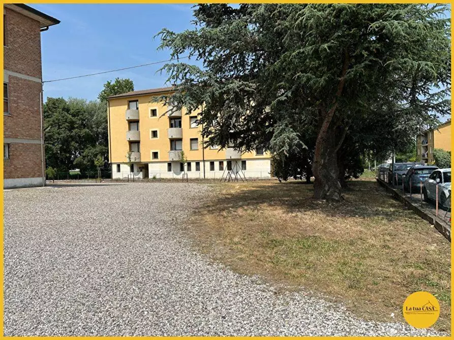 Immagine 51 di Appartamento in vendita  a Molinella