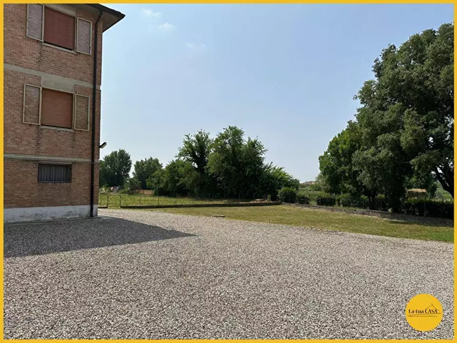 Immagine 54 di Appartamento in vendita  a Molinella