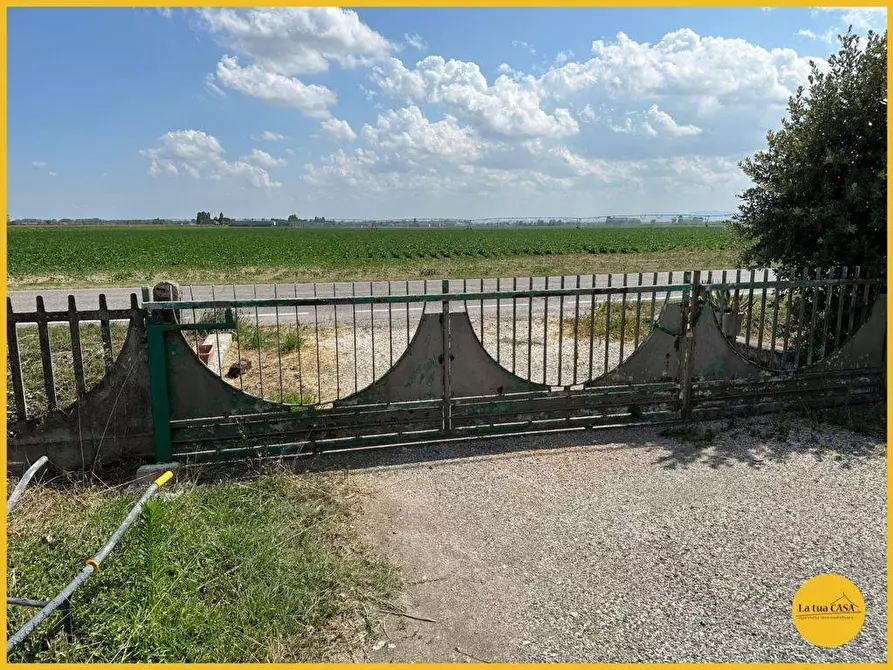 Immagine 12 di Capannone industriale in vendita  a Molinella