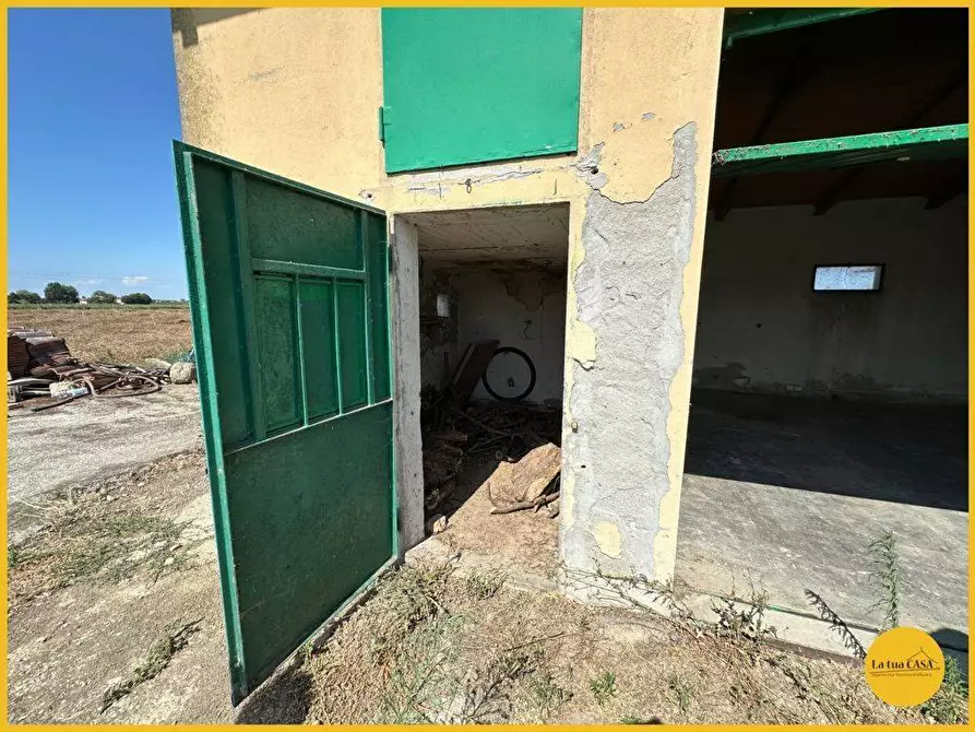 Immagine 41 di Capannone industriale in vendita  a Molinella