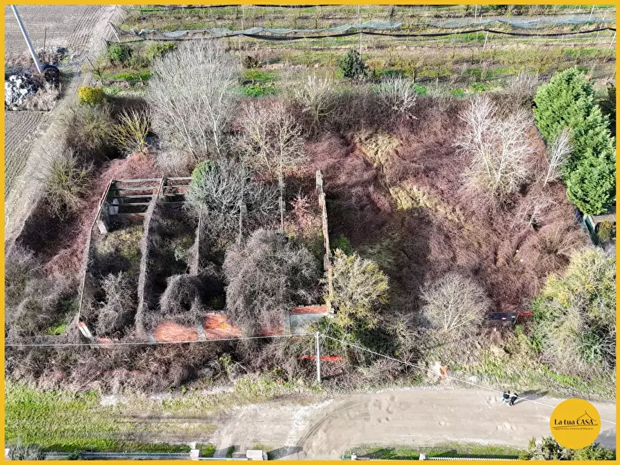 Immagine 5 di Terreno residenziale in vendita  in Via Fiume Vecchio 152 a Molinella