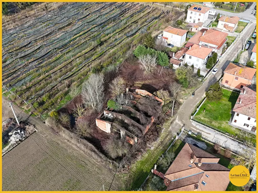 Immagine 3 di Terreno residenziale in vendita  in Via Fiume Vecchio 152 a Molinella