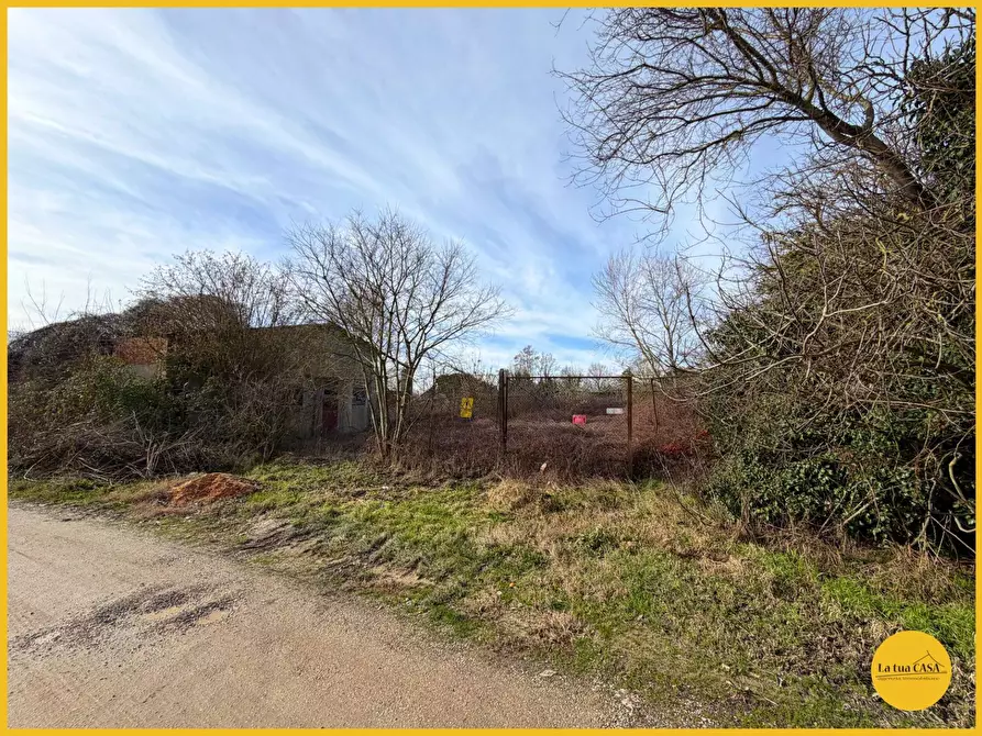 Immagine 21 di Terreno residenziale in vendita  in Via Fiume Vecchio 152 a Molinella