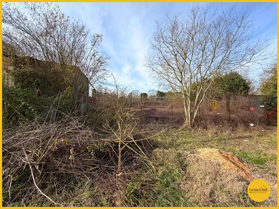 Immagine 25 di Terreno residenziale in vendita  in Via Fiume Vecchio 152 a Molinella