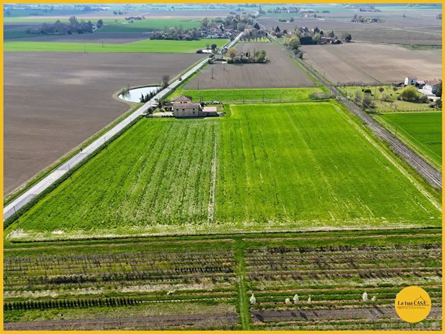Immagine 8 di Terreno agricolo in vendita  in via canale 10 a Molinella