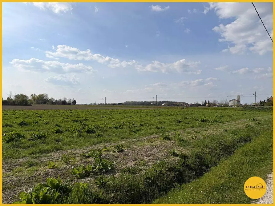 Immagine 19 di Terreno agricolo in vendita  in via canale 10 a Molinella