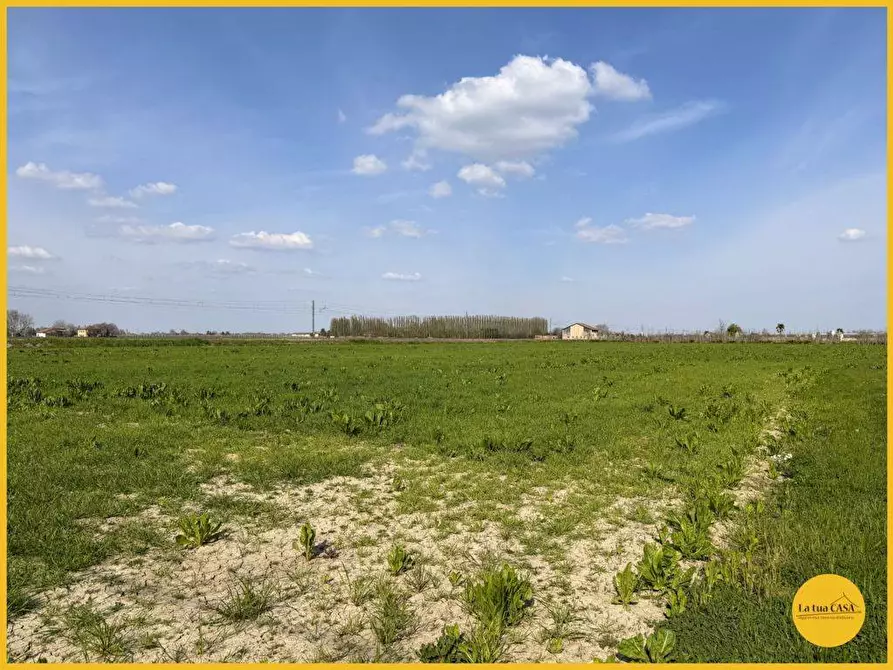 Immagine 20 di Terreno agricolo in vendita  in via canale 10 a Molinella