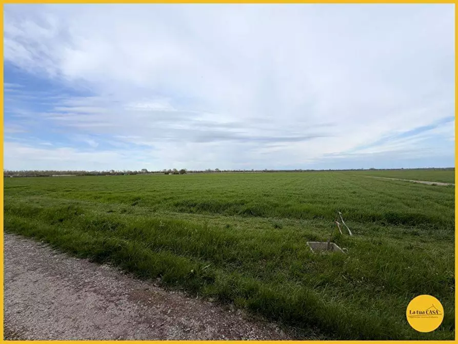 Immagine 20 di Casa indipendente in vendita  in Via Fiume vecchio 231 a Molinella