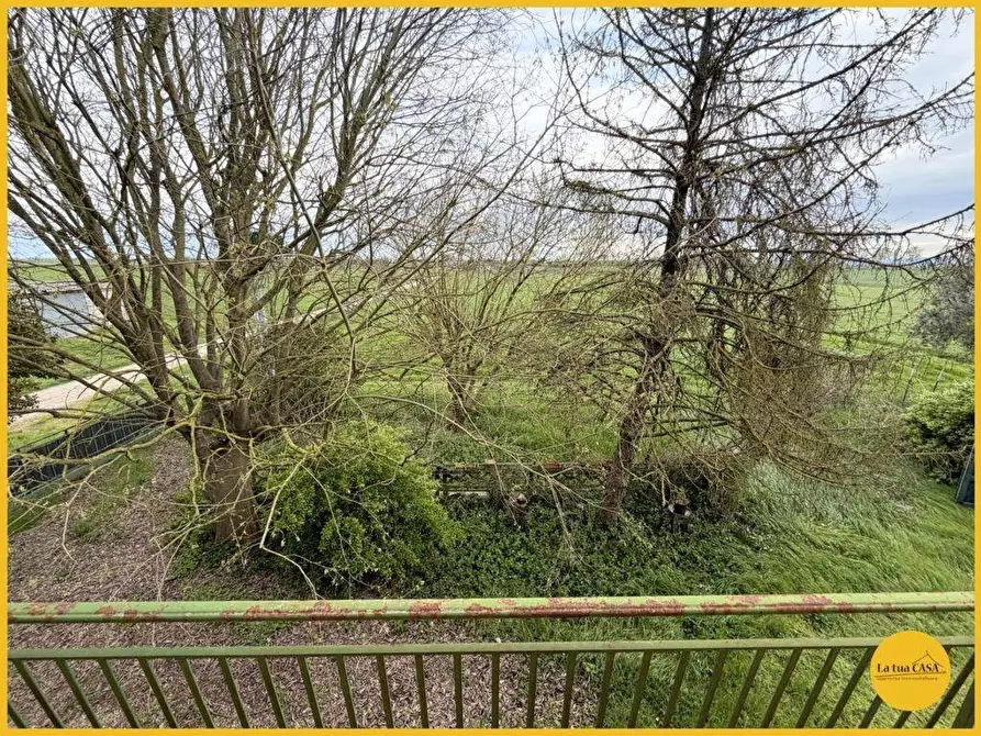 Immagine 73 di Casa indipendente in vendita  in Via Fiume vecchio 231 a Molinella