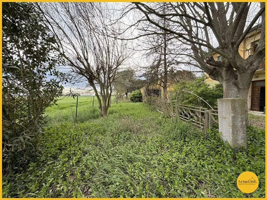 Immagine 76 di Casa indipendente in vendita  in Via Fiume vecchio 231 a Molinella