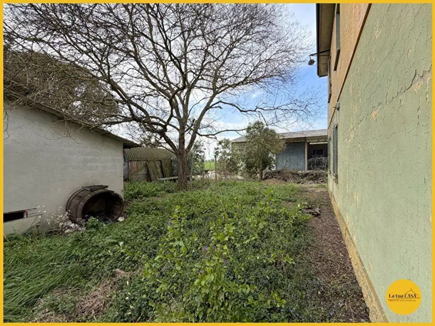 Immagine 77 di Casa indipendente in vendita  in Via Fiume vecchio 231 a Molinella