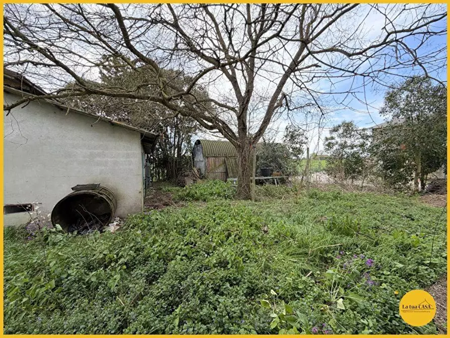 Immagine 85 di Casa indipendente in vendita  in Via Fiume vecchio 231 a Molinella