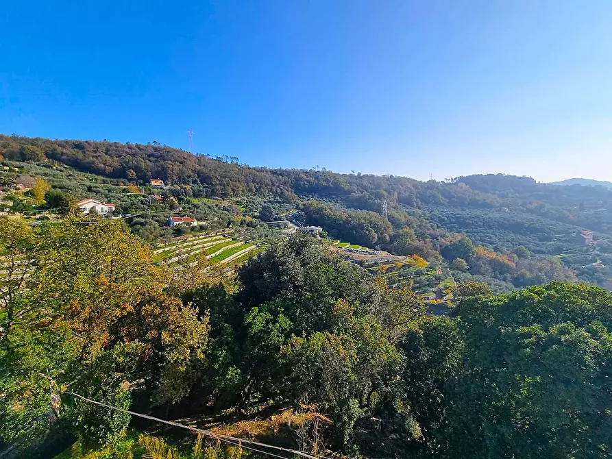 Immagine 21 di Appartamento in vendita  in Via per Olle 11 a Finale Ligure
