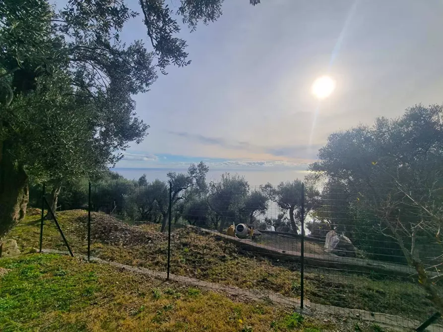 Immagine 3 di Terreno agricolo in vendita  in Via Manie a Finale Ligure