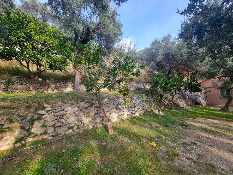 Immagine 4 di Terreno agricolo in vendita  in Via Manie a Finale Ligure