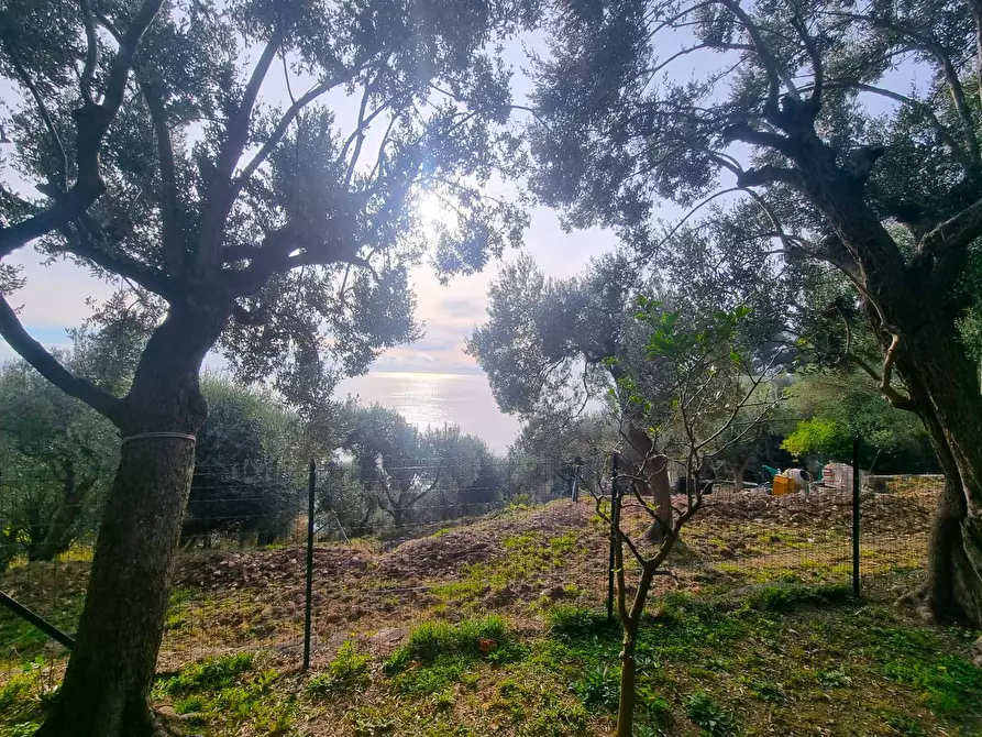 Immagine 5 di Terreno agricolo in vendita  in Via Manie a Finale Ligure