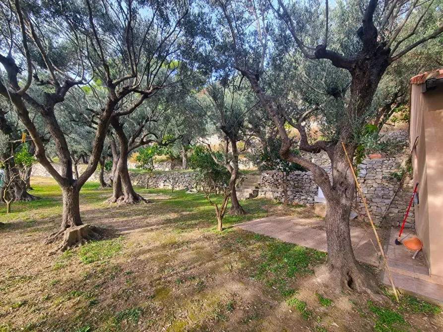 Immagine 6 di Terreno agricolo in vendita  in Via Manie a Finale Ligure