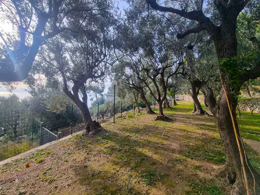 Immagine 7 di Terreno agricolo in vendita  in Via Manie a Finale Ligure