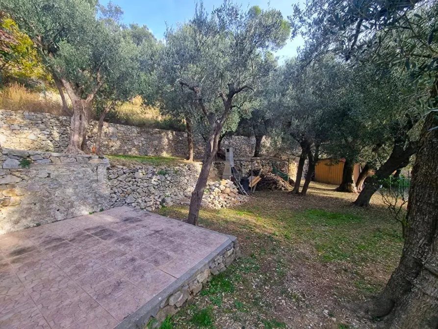 Immagine 8 di Terreno agricolo in vendita  in Via Manie a Finale Ligure