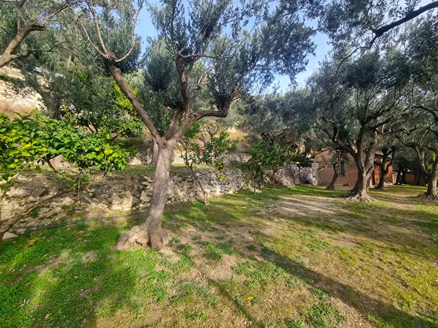 Immagine 9 di Terreno agricolo in vendita  in Via Manie a Finale Ligure