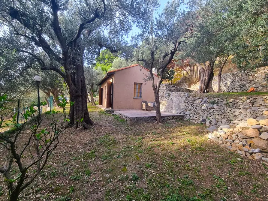 Immagine 2 di Terreno agricolo in vendita  in Via Manie a Finale Ligure