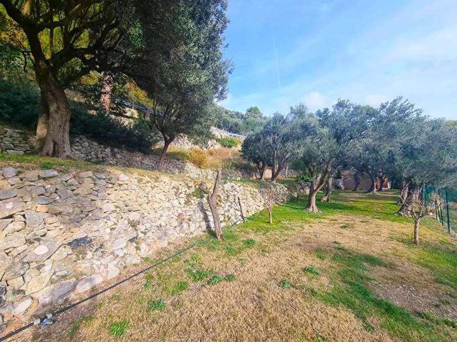 Immagine 10 di Terreno agricolo in vendita  in Via Manie a Finale Ligure