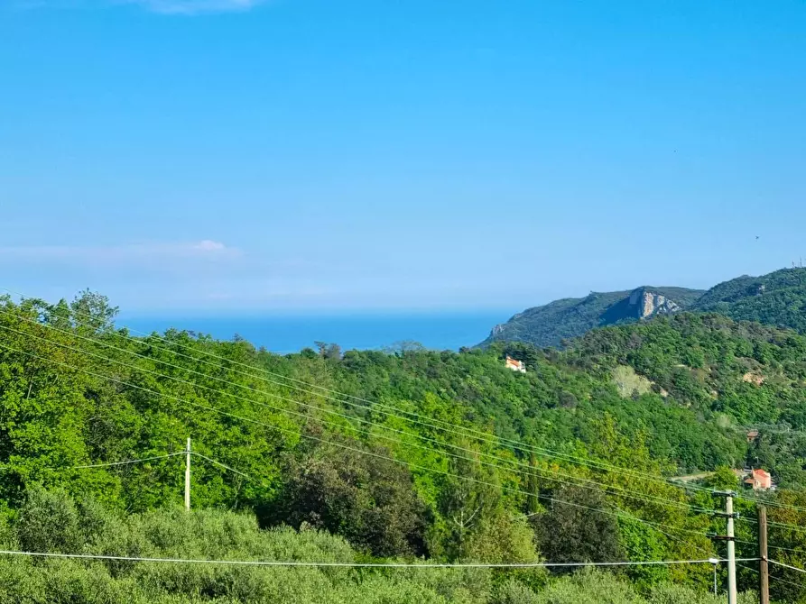 Immagine 21 di Appartamento in vendita  in Strada Provinciale SP 490 a Finale Ligure