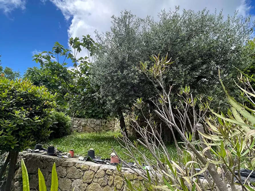 Immagine 31 di Appartamento in vendita  in Via Flavio Gioia 24 a Finale Ligure