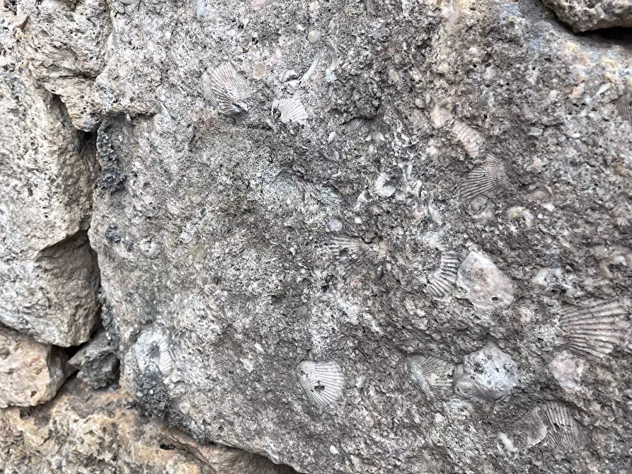 Immagine 32 di Appartamento in vendita  in Via Flavio Gioia 24 a Finale Ligure