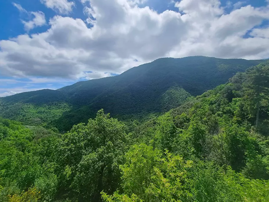 Immagine 31 di Villa in vendita  in Strada Provinciale 34 a Balestrino