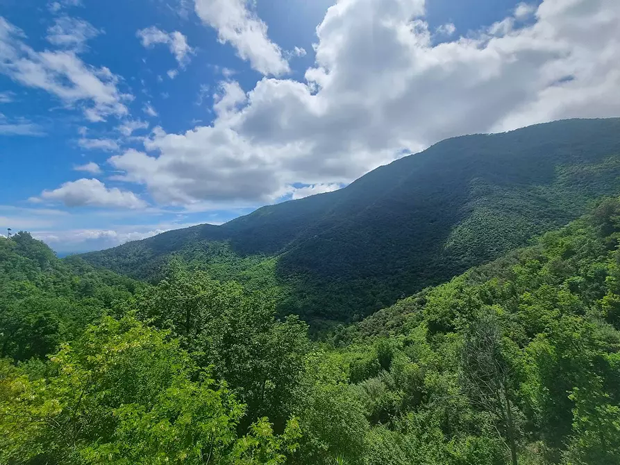 Immagine 32 di Villa in vendita  in Strada Provinciale 34 a Balestrino