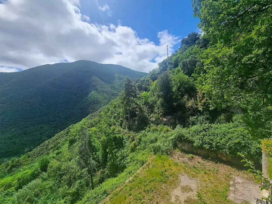 Immagine 33 di Villa in vendita  in Strada Provinciale 34 a Balestrino