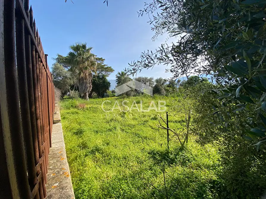 Immagine 3 di Terreno agricolo in affitto  in Via Magellano 182 a Carini
