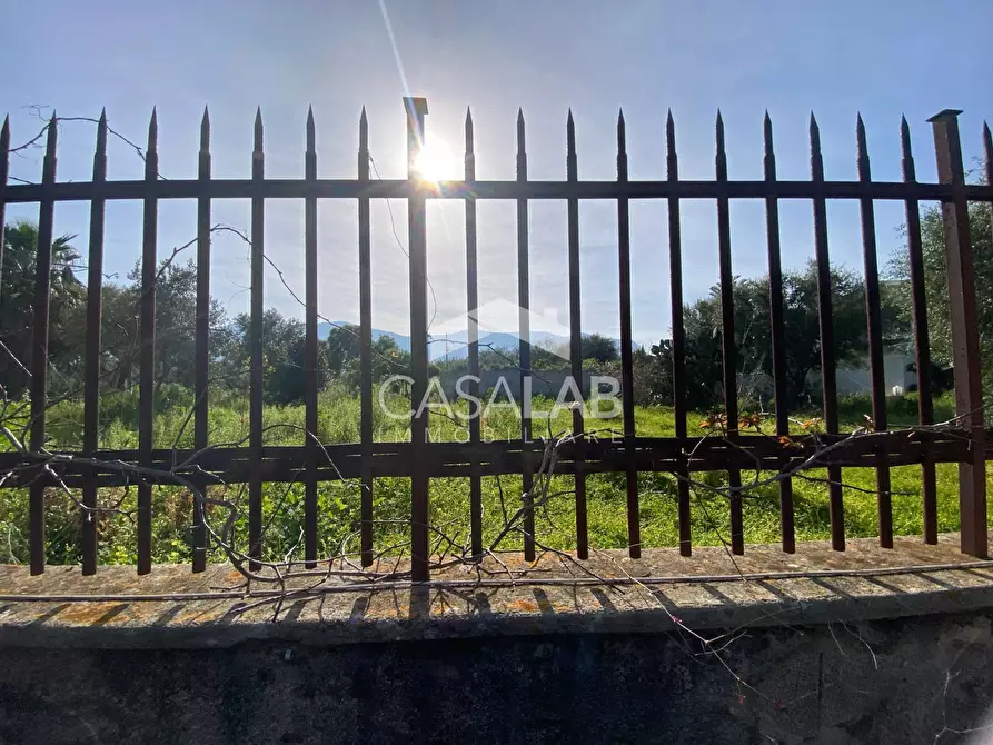 Immagine 5 di Terreno agricolo in affitto  in Via Magellano 182 a Carini