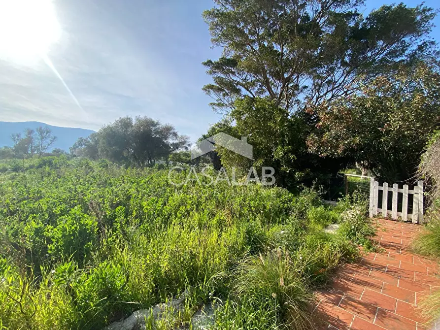 Immagine 4 di Terreno agricolo in affitto  in Via Magellano 182 a Carini